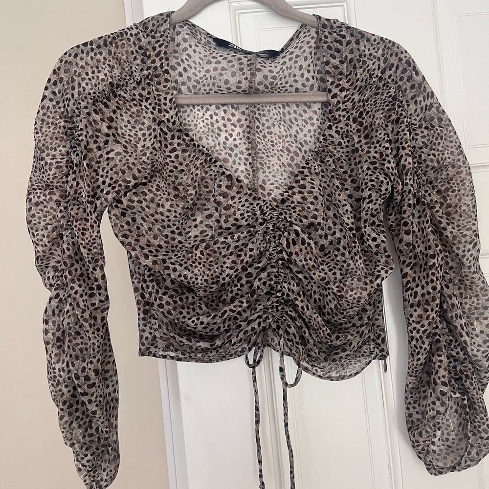 Zara Leopard print blouse.